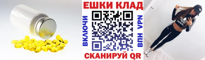 ЭКСТАЗИ DUBAI  Купить закладки  Вельск 