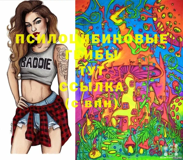 стафф Краснотурьинск