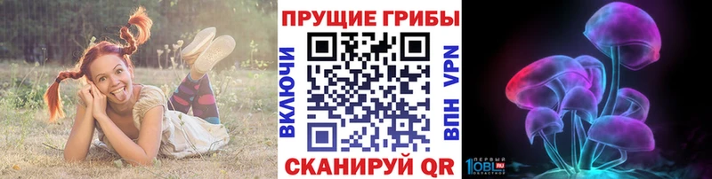 Купить Вельск Галлюциногенные грибы MAGIC MUSHROOMS